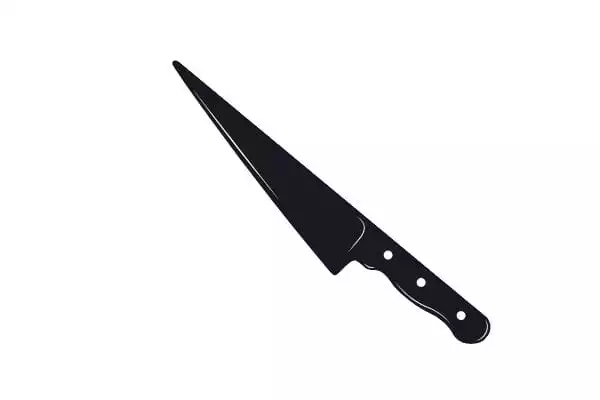 Plastic handle knife