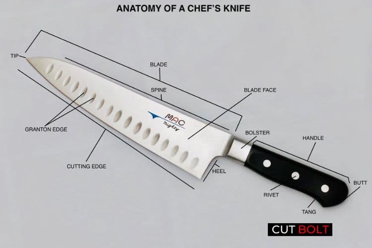 Different parts of a chef's knife