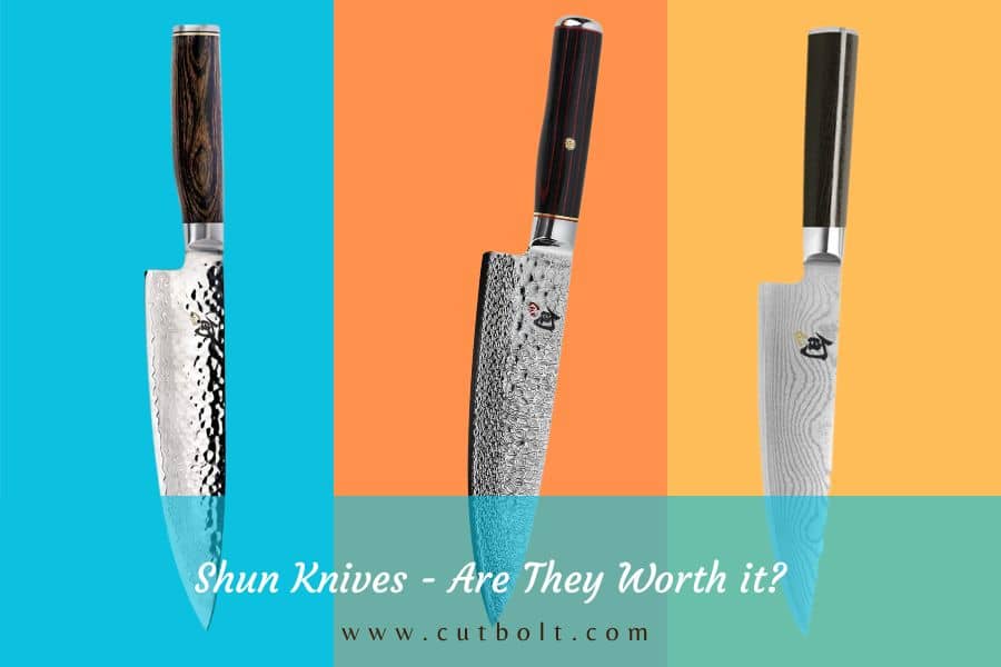 Are Shun Knives worth it?