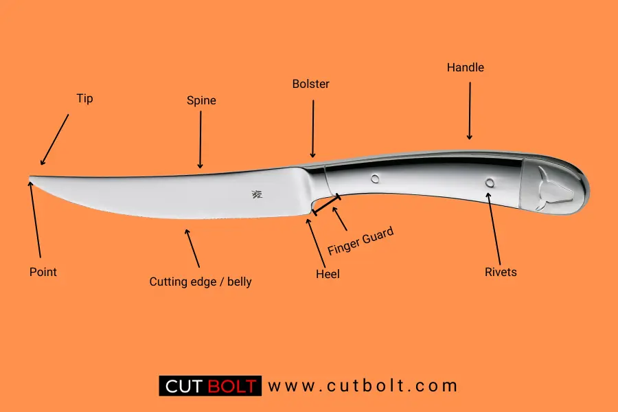 Anatomy of a steak knife (important parts of a steak knife)