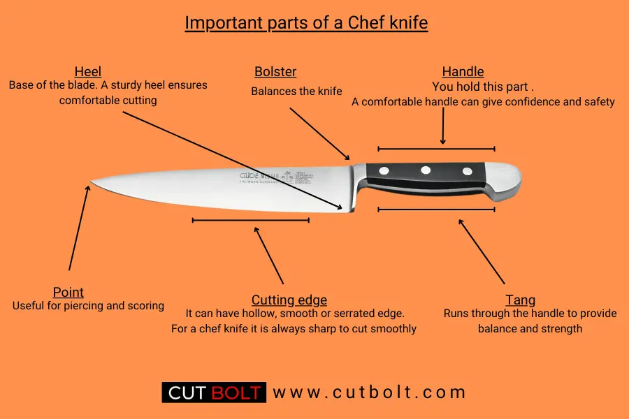 Anatomy of a chef knife