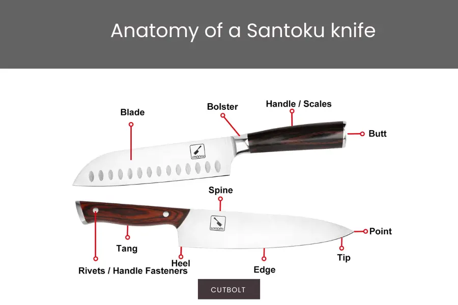 anatomy of a santoku knife