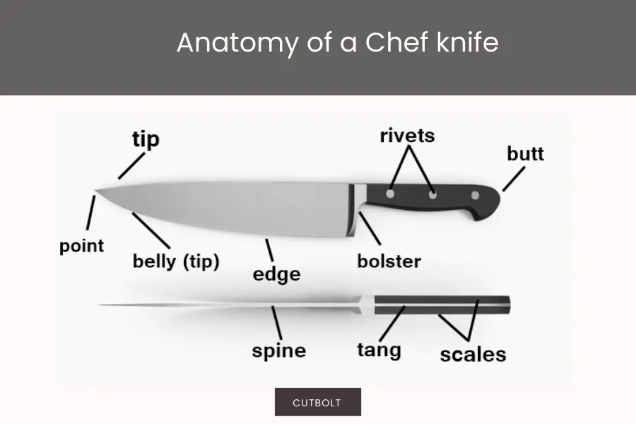 anatomy of a chef's knife