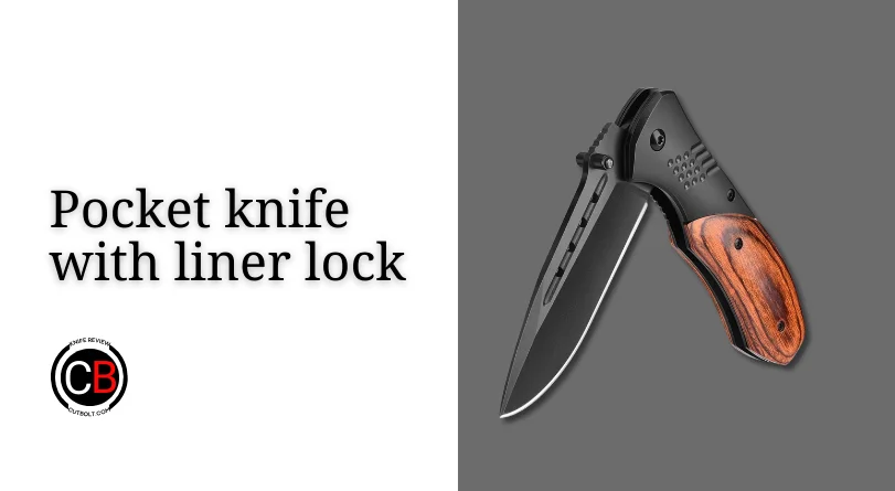 Pocket knife with liner lock