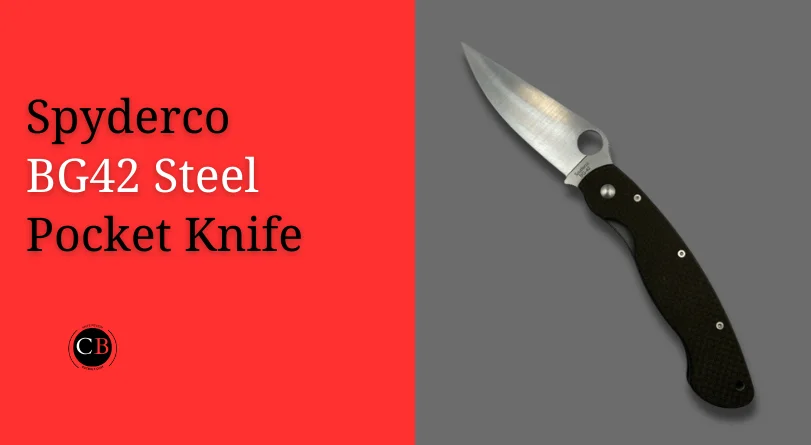Spyderco BG42 Steel Pocket Knife